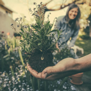 Learn Gardening